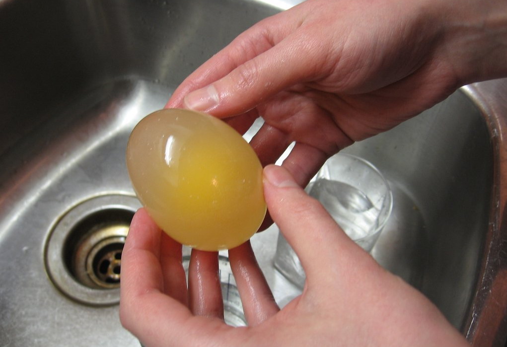 Яйцо, полежавшее в уксусе. Фото: pirojok.net