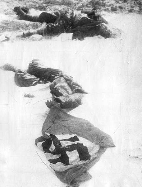 Фашистский флаг в Сталинградских степях