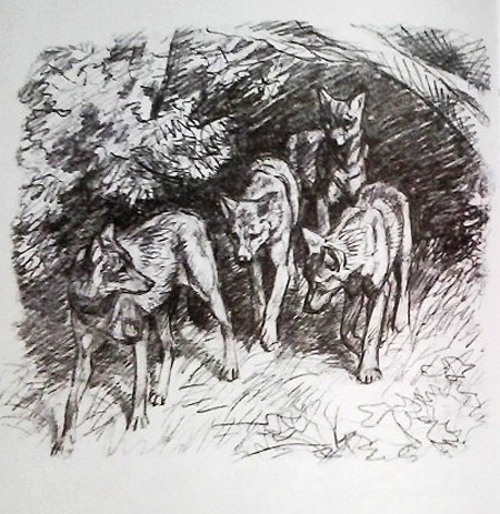 Иллюстрация к книге Семен Устинов, "Заячье зеркало", рис. В. Дугина